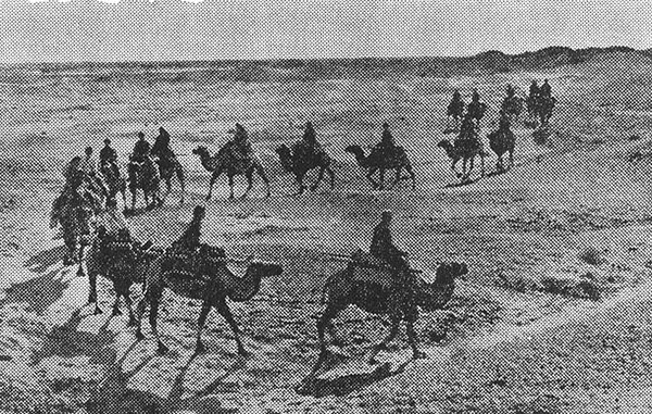 267f9e2f070828386134d76ab7dde7074c08f159.jpg 267f9e2f070828386134d76ab7dde7074c08f159.jpg