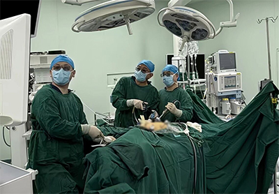 20251029-1.jpg 20251029-1.jpg